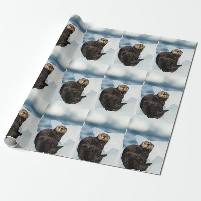 Papier Cadeau Loutre de mer (Déroulé)
