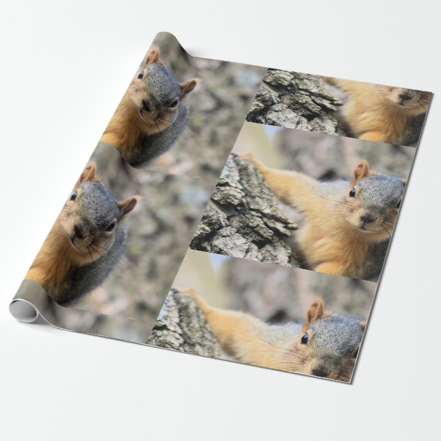 Papier Cadeau M. Cutie (Déroulé)