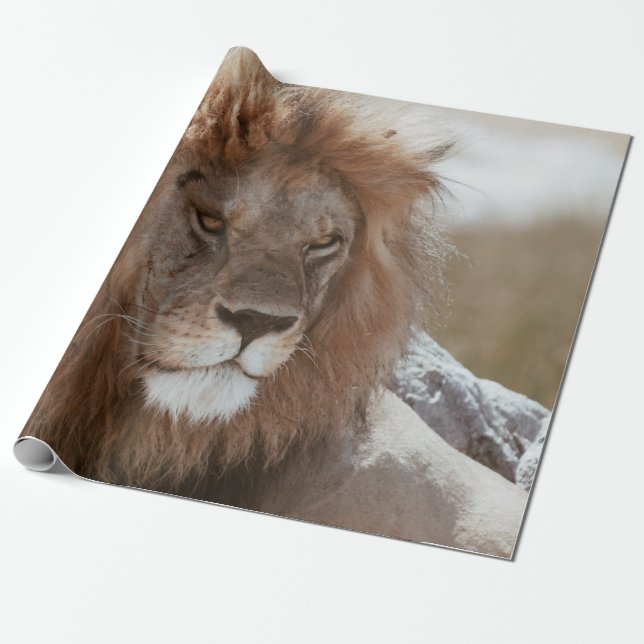 PAPIER CADEAU M. LION (Déroulé)