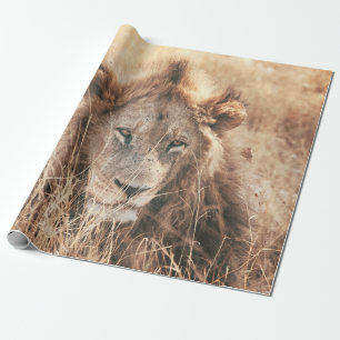 PAPIER CADEAU M. LION KING