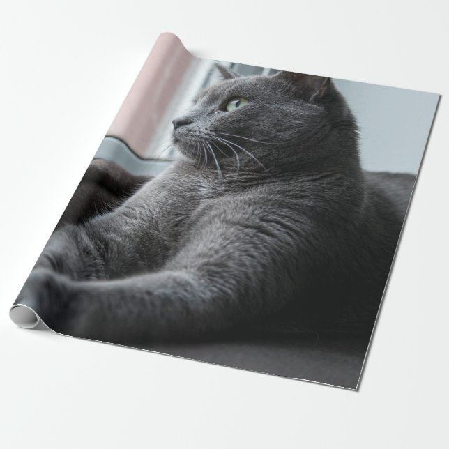 PAPIER CADEAU MA CUISINE SECOURUE ROUTEUR SUCRE (Déroulé)