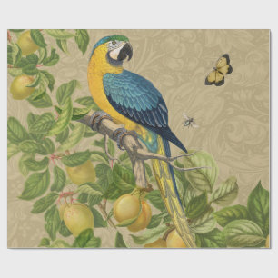 Papier Cadeau Macaw Blue Jaune Tropical Jungle Antique