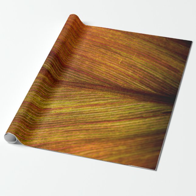 Papier Cadeau Macro botanique feuille nature texture (Déroulé)