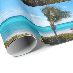 Papier Cadeau Magnifique motif d'arbre de palme tropical balayé 