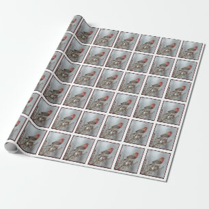 Papier Cadeau Maison Finch en Neige - Photo originale