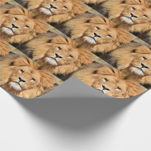 Papier Cadeau Majestic, Belle, Lion Regal
