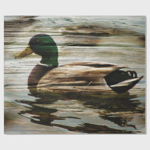 Papier Cadeau Mallard Duck