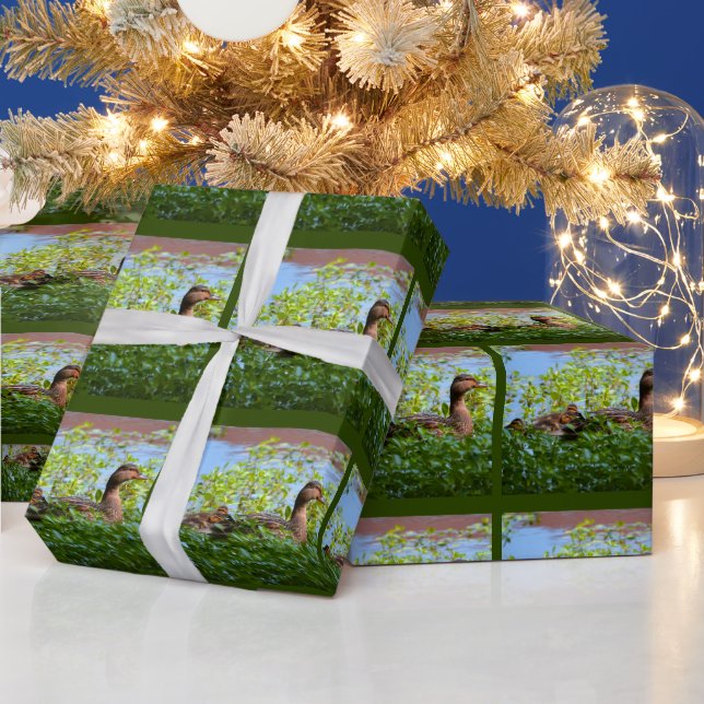 Papier Cadeau Mallard et canettes-Natation par Shirley Taylor (Vacances)