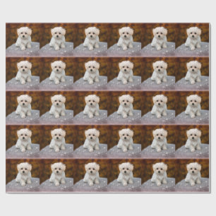 Papier Cadeau Maltese Puppy, oh si mignon,