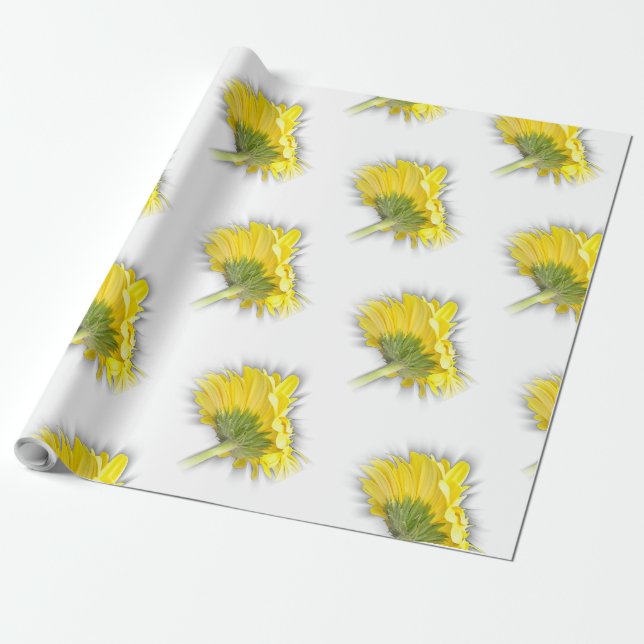 Papier Cadeau marguerite jaune (Déroulé)
