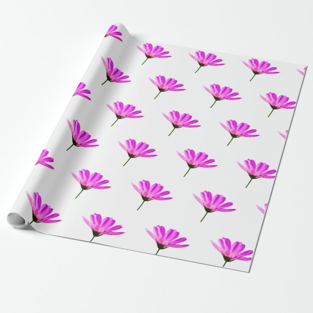 Papier Cadeau Marguerite rose  (Déroulé)
