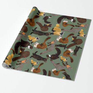 Papier Cadeau Marten species of the world