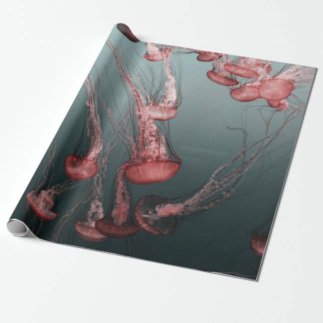 Papier Cadeau méduse (Déroulé)