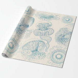 Papier Cadeau Méduse Ernst Haeckel Art scientifique vintage