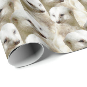 Papier Cadeau Meerkats blancs,
