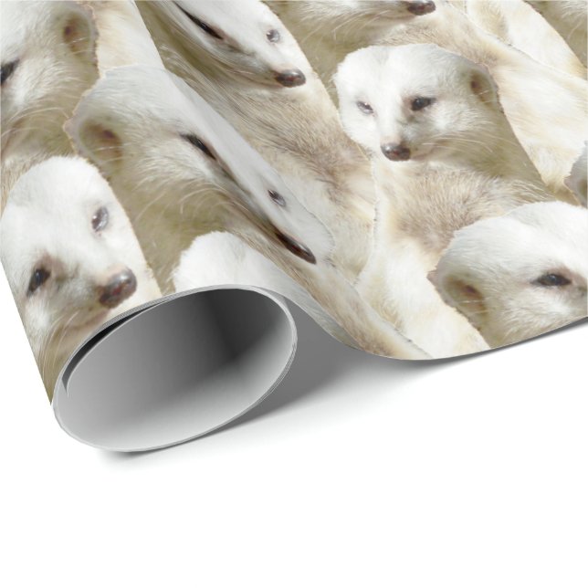 Papier Cadeau Meerkats blancs, (Coin rond)