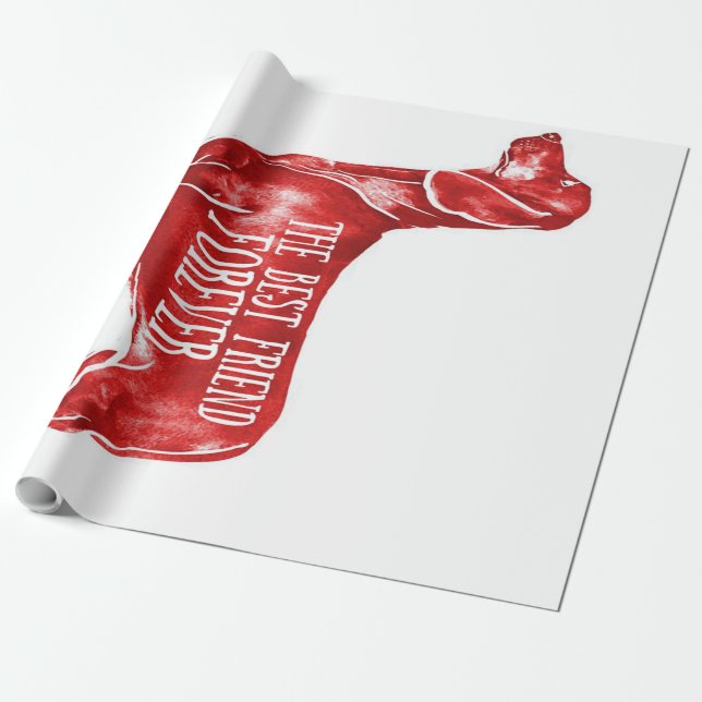 Papier Cadeau Meilleur ami (Déroulé)