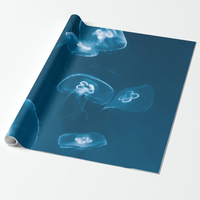 Papier Cadeau Mer (Déroulé)