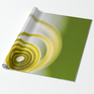 Papier Cadeau Micro photographie de tige plante