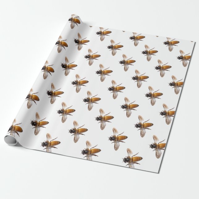 Papier Cadeau Miel Bee (Déroulé)