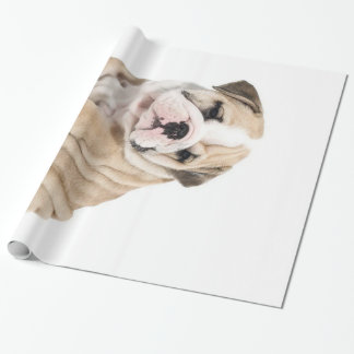Papier Cadeau Mignonne Chien-taupe Chien Triste
