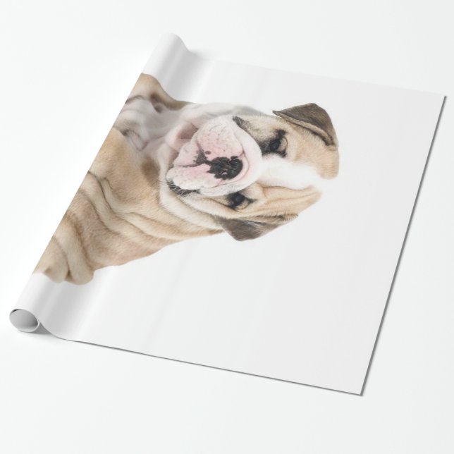 Papier Cadeau Mignonne Chien-taupe Chien Triste (Déroulé)