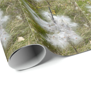 Papier Cadeau Milkweed   Papillon
