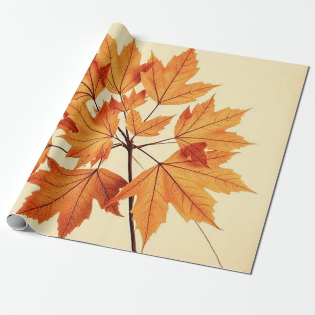 Papier Cadeau Minimalist Maple Leaves Art – Botanical Print (Déroulé)