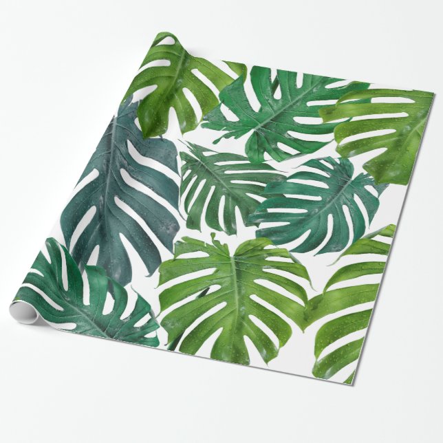 Papier Cadeau Monstera Palm Tropical Green Feuilles (Déroulé)