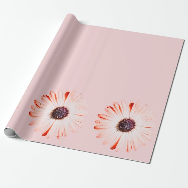 Papier Cadeau Montana Fleurs sauvages en rose (Déroulé)