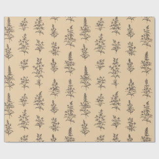 Papier Cadeau Motif botanique herbacé vintage – Floral neutre