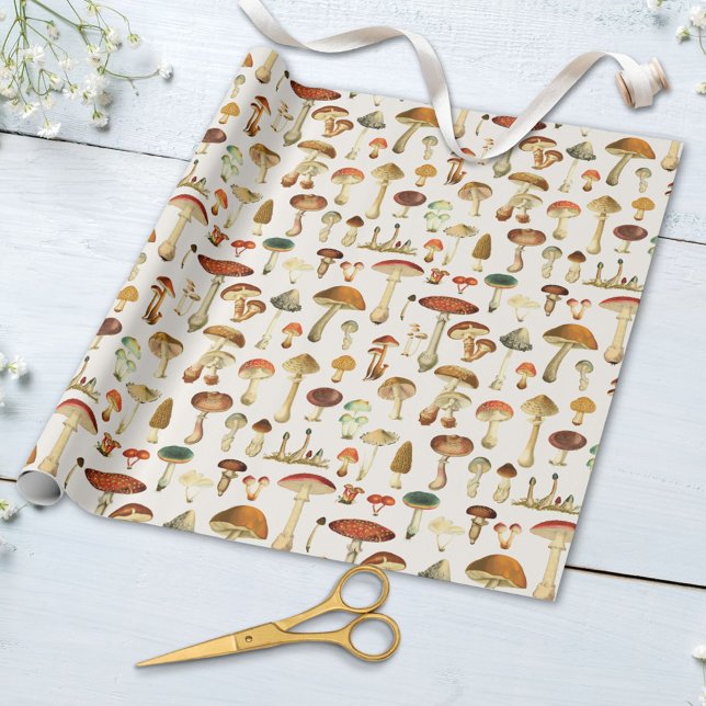 Papier Cadeau Motif Champignon Vintage (Close up)