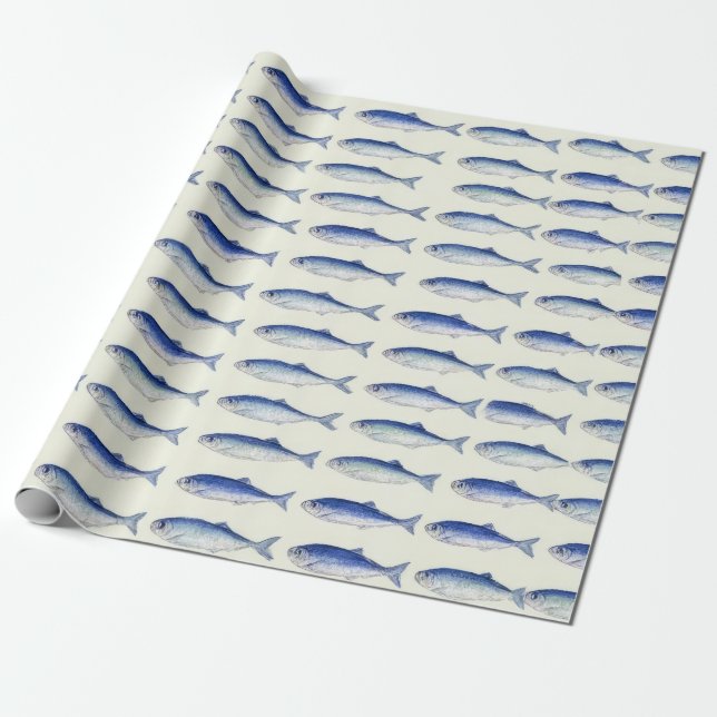 Papier Cadeau Motif côtier minimal horizontal Sardines bleues (Déroulé)