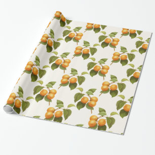 Papier Cadeau Motif d'aquarelle vintage Orange Apricots