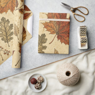 Papier Cadeau Motif de feuilles d'automne – Botanique automnale