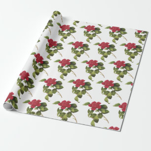 Papier Cadeau Motif de fleur de camélia
