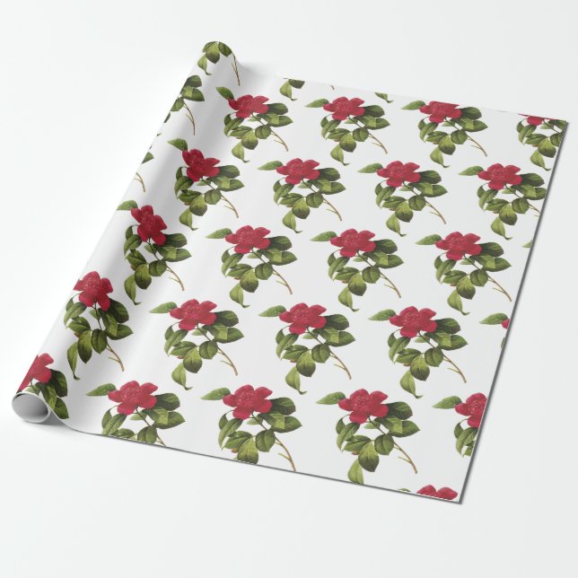 Papier Cadeau Motif de fleur de camélia (Déroulé)