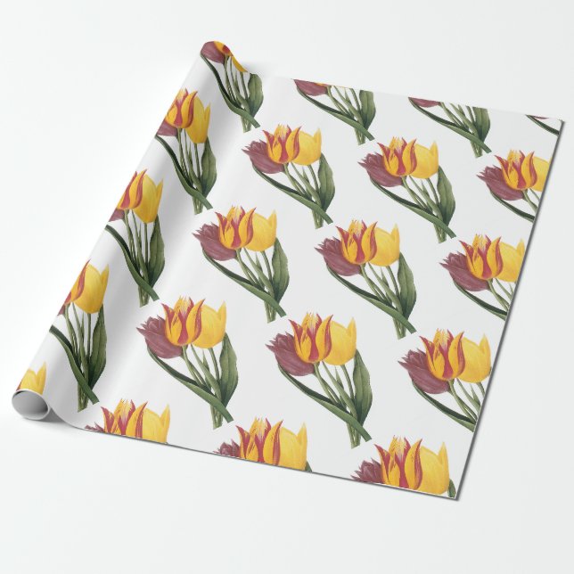 Papier Cadeau Motif de fleur de tulipe (Déroulé)