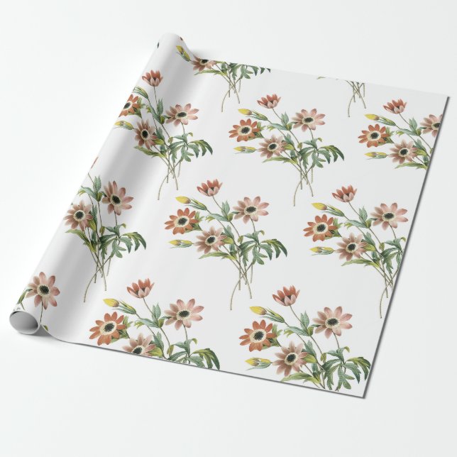 Papier Cadeau Motif de fleurs d'anémone (Déroulé)