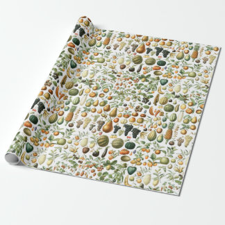 Papier Cadeau Motif de fruits d'Adolphe Millot