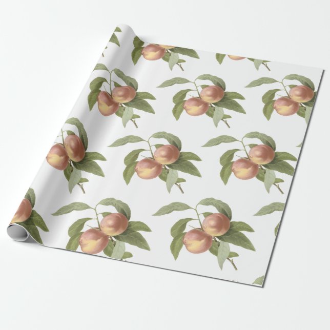 Papier Cadeau Motif de pêche (Déroulé)