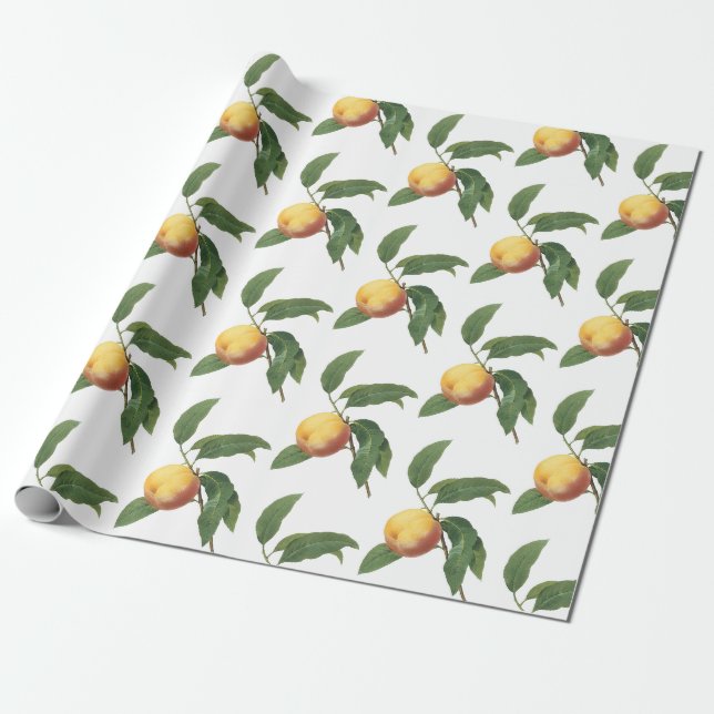 Papier Cadeau Motif de pêche (Déroulé)