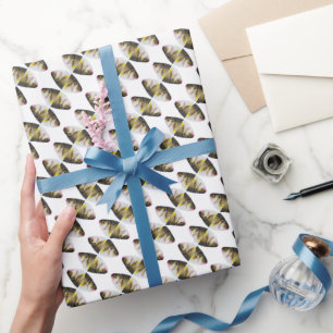 Papier Cadeau motif de poisson Abstrait