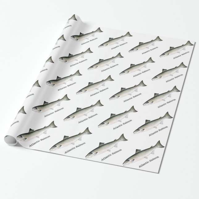 Papier Cadeau Motif de poissons de saumon atlantique (Déroulé)