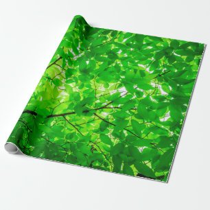 Papier Cadeau Motif de texture de brindille de la feuille d'arbr