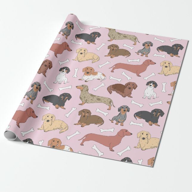 Papier Cadeau motif de variété dachshund en rose (Déroulé)
