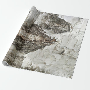 Papier Cadeau Motif d'écorce de bouleau