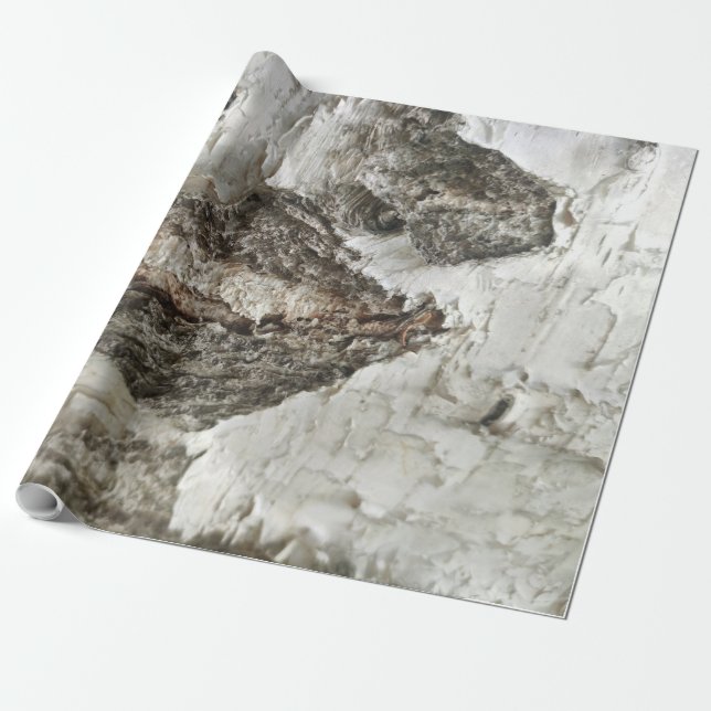 Papier Cadeau Motif d'écorce de bouleau (Déroulé)