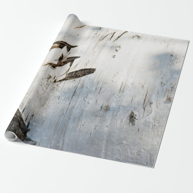 Papier Cadeau Motif d'écorce de bouleau (Déroulé)
