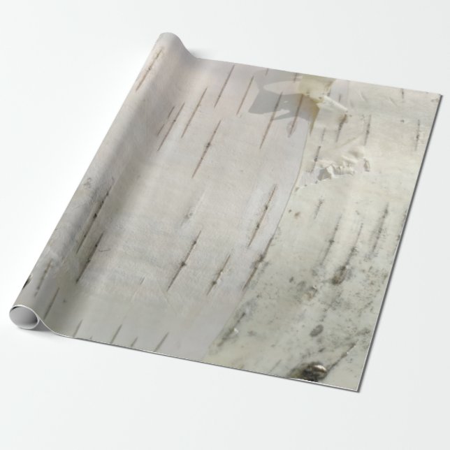 Papier Cadeau Motif d'écorce de bouleau (Déroulé)